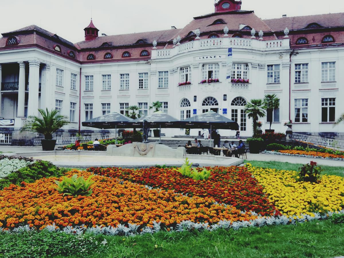Apartment Alice Center Karlovy Vary Exterior foto